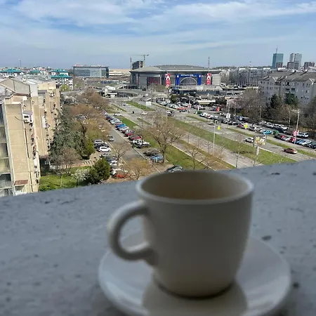 Sassy * Belgrade